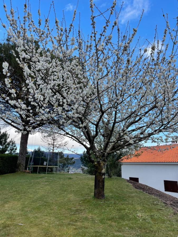 Casa Catita - Douro Βίλα Baião Εξωτερικό φωτογραφία